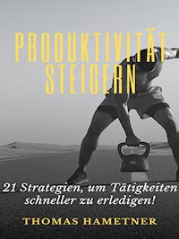 Produktivität steigern - Thomas Hametner - E-Book