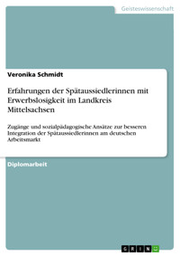 Erfahrungen der Spätaussiedlerinnen mit Erwerbslosigkeit im Landkreis Mittelsachsen - Veronika Schmidt - E-Book