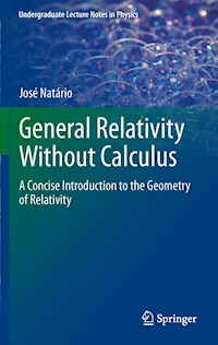 General Relativity Without Calculus - Jose Natario - E-Book