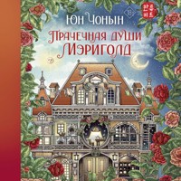 Прачечная души Мэриголд - Юн Чонын - Hörbuch
