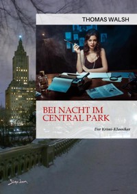 BEI NACHT IM CENTRAL PARK - Thomas Walsh - E-Book