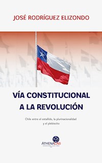 Vía constitucional a la revolución - José Rodríguez Elizondo - E-Book
