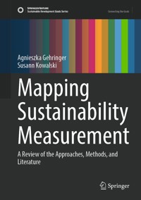 Mapping Sustainability Measurement - Agnieszka Gehringer - E-Book