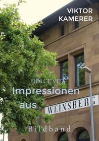 Dolce Vita Bildband - Viktor Kamerer - E-Book
