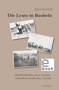 Die Leute in Baubeln - Alfred Rohloff - E-Book