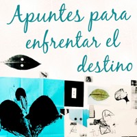 Apuntes para enfrentar el destino - Miriam Mabel Martínez - Hörbuch