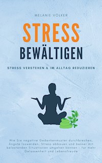 Stress bewältigen - Melanie Völker - E-Book