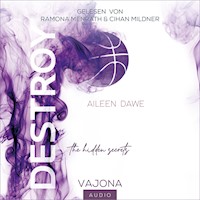 DESTROY the hidden secrets (DESTROY-Reihe 1) - Aileen Dawe - Hörbuch