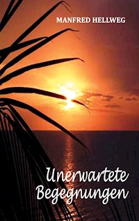 Unerwartete Begegnungen - Manfred Hellweg - E-Book