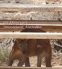 Lustige Stolpersteine - Christine Pfeiffer - E-Book