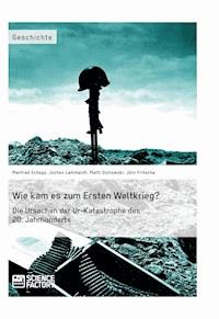 Wie kam es zum Ersten Weltkrieg? Die Ursachen der Ur-Katastrophe des 20. Jahrhunderts - Manfred Schopp - E-Book