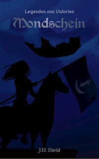 Mondschein - J.D. David - E-Book
