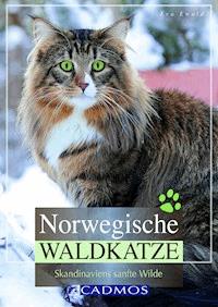 Norwegische Waldkatze - Eva Ewald - E-Book