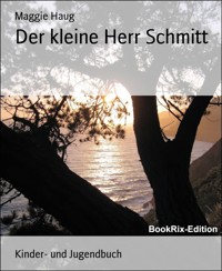 Der kleine Herr Schmitt - Maggie Haug - E-Book