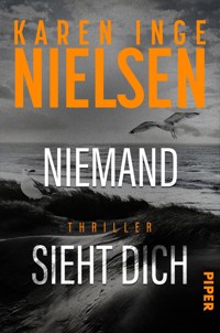 Niemand sieht dich - Karen Inge Nielsen - E-Book