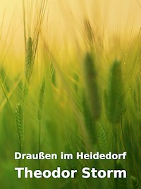 Draußen im Heidedorf - Theodor Storm - E-Book