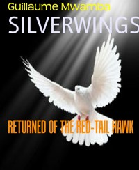 SILVERWINGS - Guillaume Mwamba - E-Book