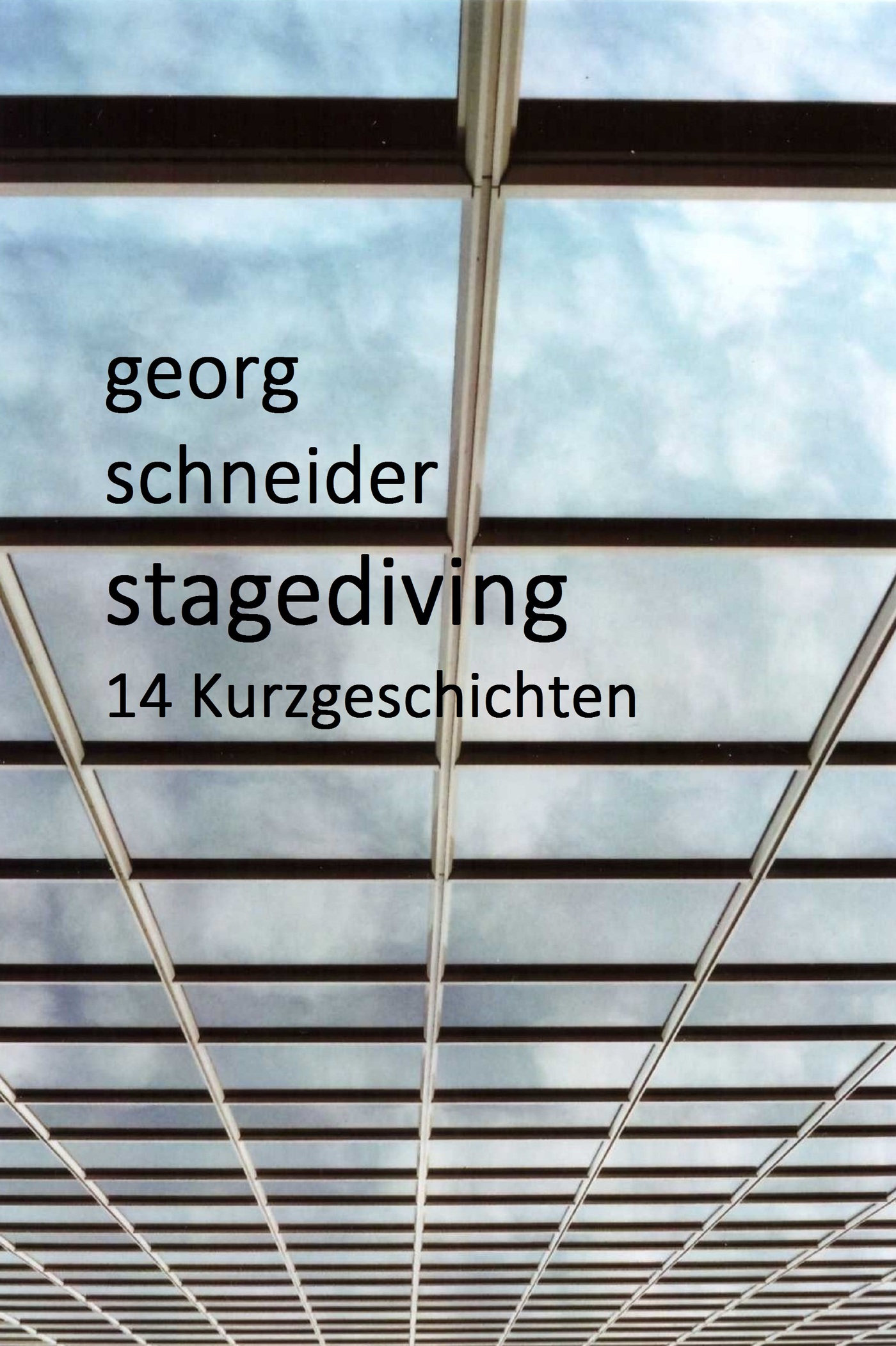 Stagediving - Georg Schneider - E-Book