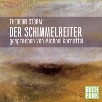 Der Schimmelreiter (Ungekürzt) - Theodor Storm - Hörbuch