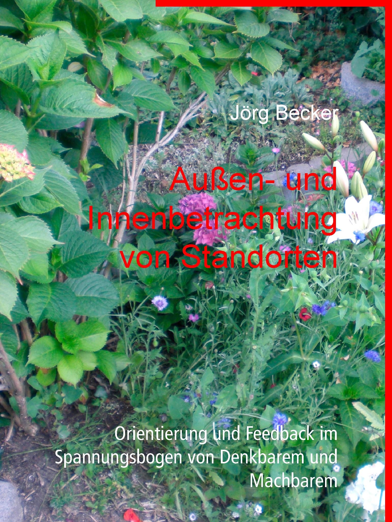 Außen- und Innenbetrachtung von Standorten - Jörg Becker - E-Book