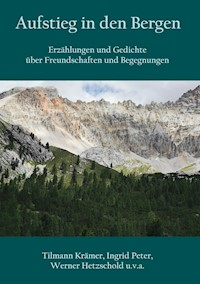 Aufstieg in den Bergen - Tilmann Krämer - E-Book