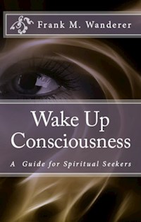 Wake Up Consciousness - Frank M. Wanderer - E-Book