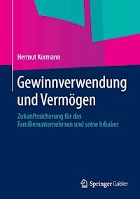 Gewinnverwendung und Vermögen - Hermut Kormann - E-Book