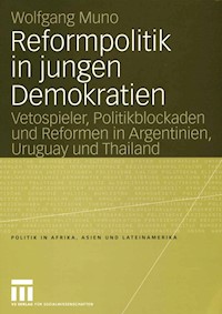 Reformpolitik in jungen Demokratien - Wolfgang Muno - E-Book