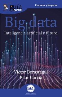 GuíaBurros Big data - Víctor Berástegui - E-Book