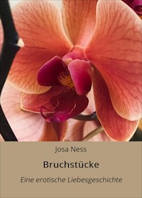 Bruchstücke - Josa Ness - E-Book