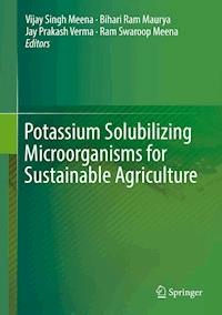 Potassium Solubilizing Microorganisms for Sustainable Agriculture - - E-Book