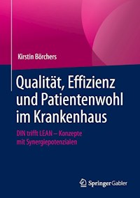 Qualität, Effizienz und Patientenwohl im Krankenhaus - Kirstin Börchers - E-Book