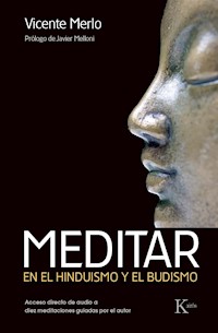 Meditar - Vicente Merlo - E-Book