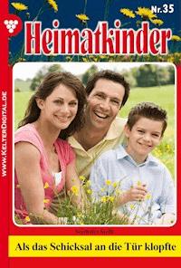 Als das Schicksal an die Tür klopfte - Steffi Seethaler - E-Book