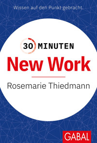 30 Minuten New Work - Rosemarie Thiedmann - E-Book