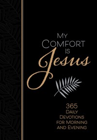 My Comfort Is Jesus - Ray Comfort - E-Book