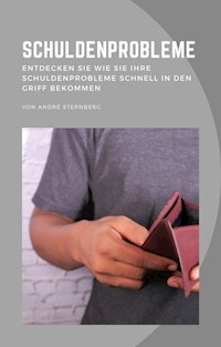 Schuldenprobleme - Andre Sternberg - E-Book
