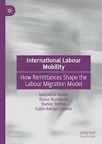 International Labour Mobility - Valentina Vasile - E-Book