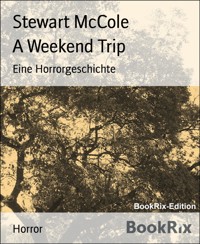 A Weekend Trip - Stewart McCole - E-Book