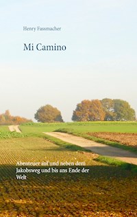 Mi Camino - Henry Fassmacher - E-Book