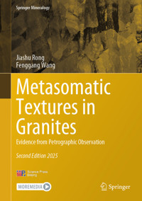 Metasomatic Textures in Granites - Jiashu Rong - E-Book