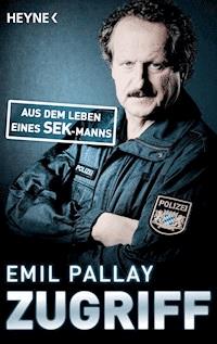 Zugriff - Emil Pallay - E-Book