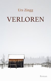 Verloren - Urs Zingg - E-Book