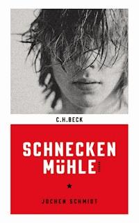 Schneckenmühle - Jochen Schmidt - E-Book