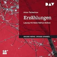 Erzählungen - Anton Tschechow - Hörbuch