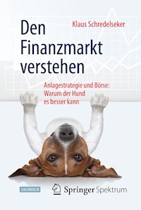 Den Finanzmarkt verstehen - Klaus Schredelseker - E-Book