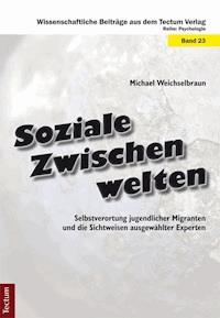 Soziale Zwischenwelten - Michael Weichselbraun - E-Book
