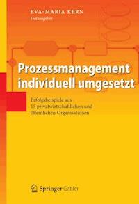 Prozessmanagement individuell umgesetzt -  - E-Book