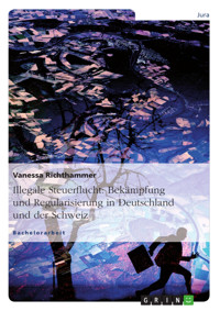 Illegale Steuerflucht: Bekämpfung und Regularisierung in Deutschland und der Schweiz - Vanessa Richthammer - E-Book