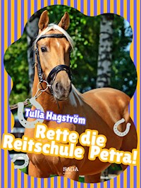 Rette die Reitschule Petra! - Torbjörg Hagström - E-Book